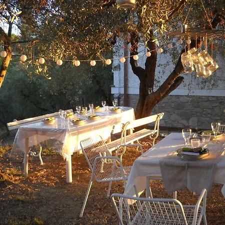 Frühstückspension Casa White 3*